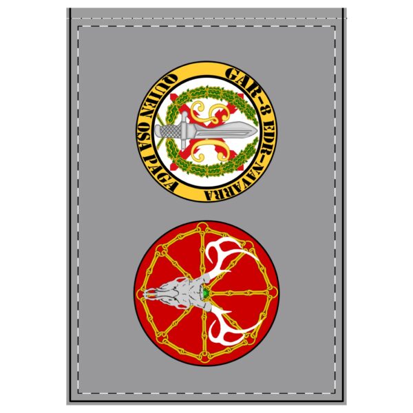 3337804854149443182_2048.jpeg Bandera del 8º EDR del GAR